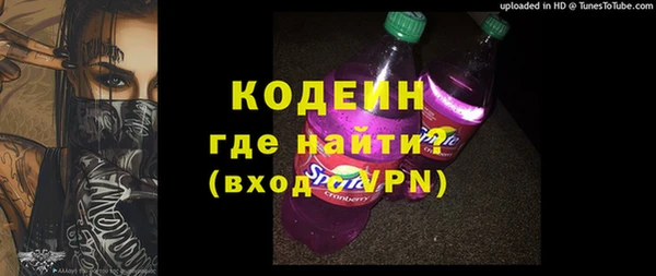 молекула духа Костерёво