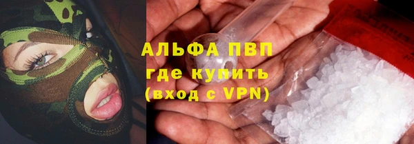 молекула духа Костерёво