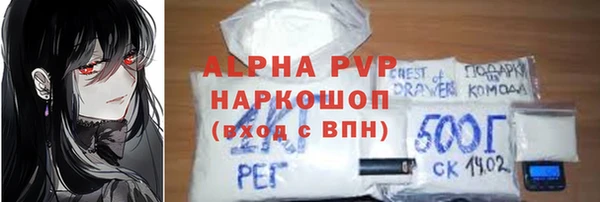 молекула духа Костерёво