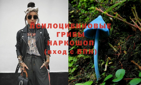 герыч Коряжма