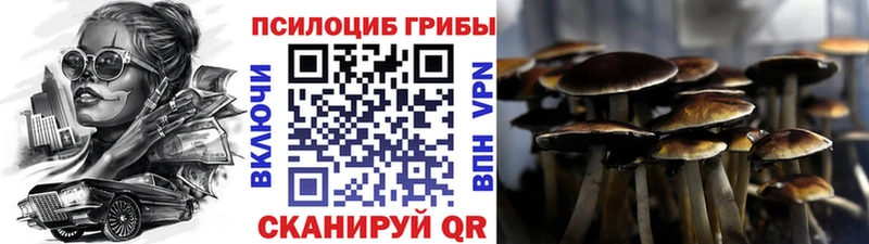 Галлюциногенные грибы мухоморы  Купить закладки  Ивангород 