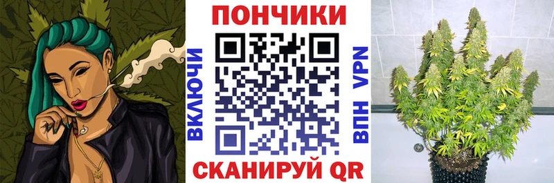 Марихуана план  Купить закладки  Ивангород 